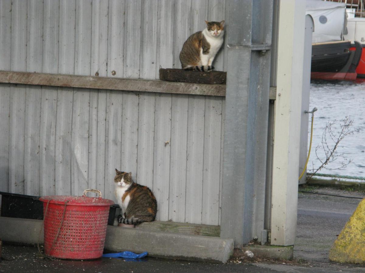 Apartmán Fuglevaenget Hundested Exteriér fotografie